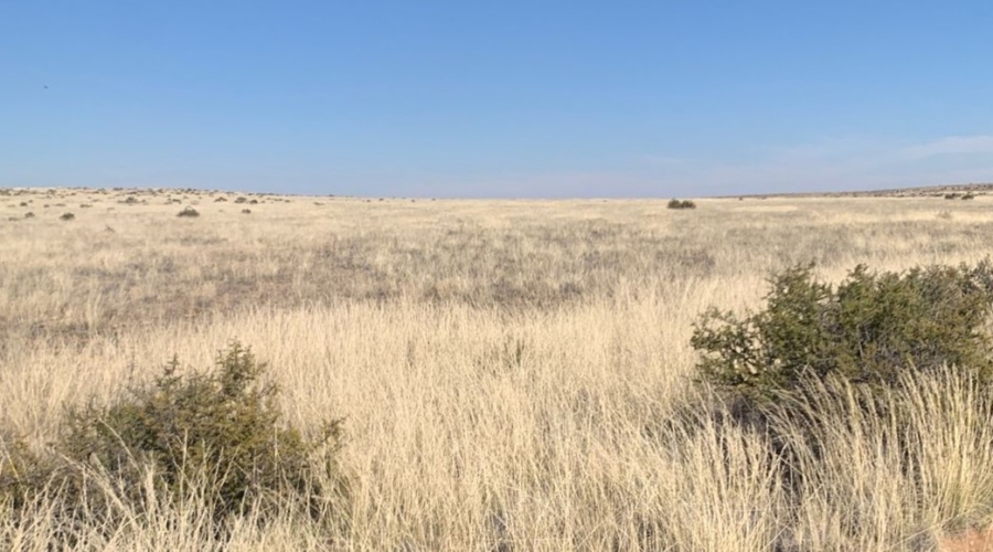 0 Bedroom Property for Sale in Williston Rural Northern Cape